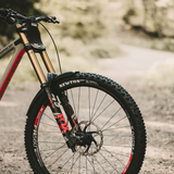 Newton MTF Downhill Tubeless Complete